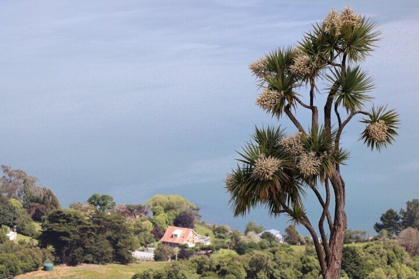 Lookout at Peninsula