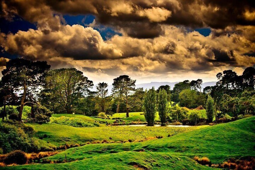 Lord of the Rings Hobbiton Movie Set Tour