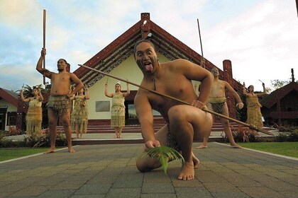 Tauranga Shore Excursion: Te Puia Maori Cultural Centre and Rotorua City Si...