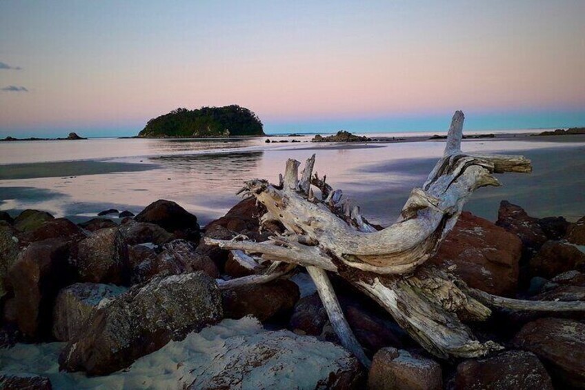 Rabbit island