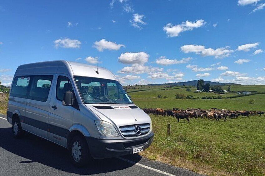 Boutique tour , Mt Maunganui, NZ farm, Rotorua lakes/geothermal 