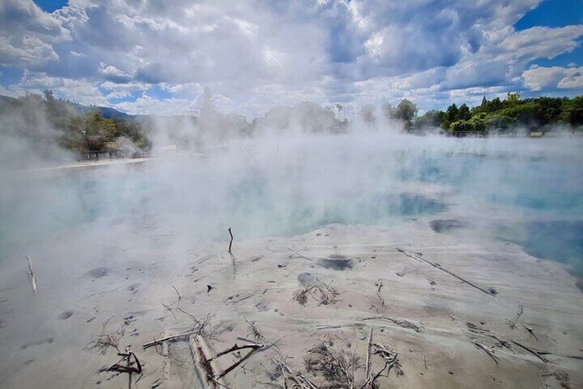 Deluxe small group Cruise Day Tour, Rotorua, Tauranga & Mt Maunganui highlights