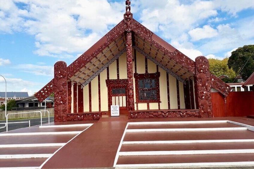 Deluxe small group Cruise Day Tour, Rotorua, Tauranga & Mt Maunganui highlights