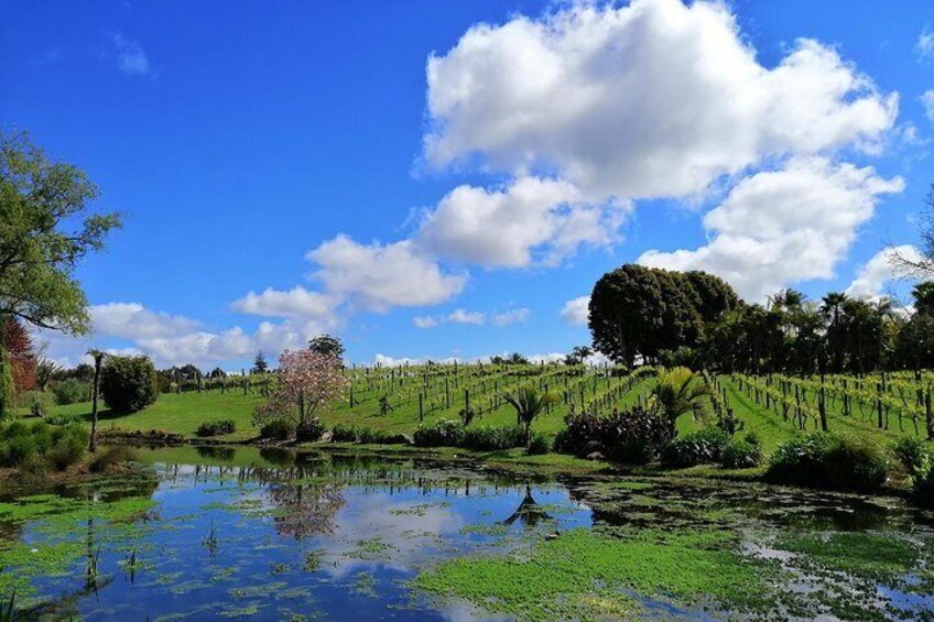 Private Shore Excursion: Bay of Islands Tour with Wine Tasting