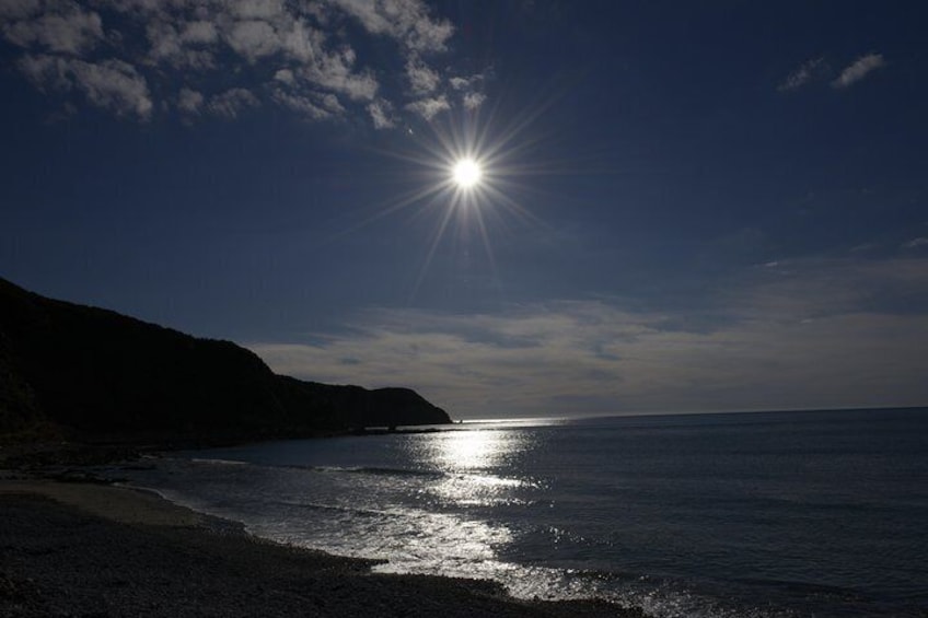 Kapiti Coastline by night