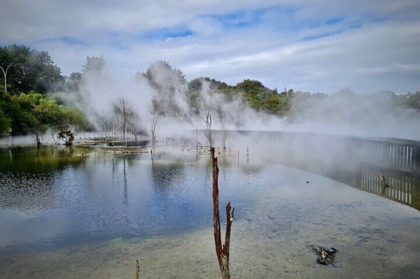 Private Shore Excursion Rotorua/ Tauranga Maori culture, Geyser & concert 