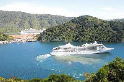 Private Excursion: Scenic and Seascape Delights from Picton