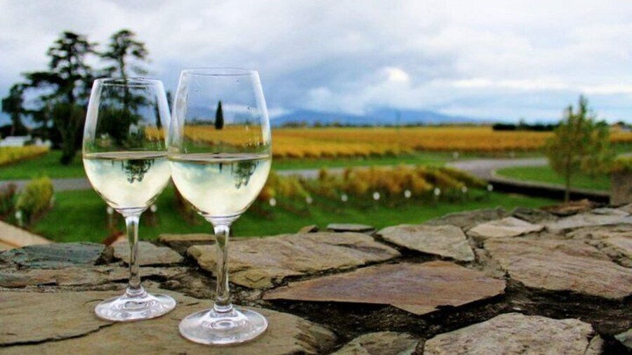 Can you taste the Sauvignon Blanc - crisp fruity style to refresh your pallete