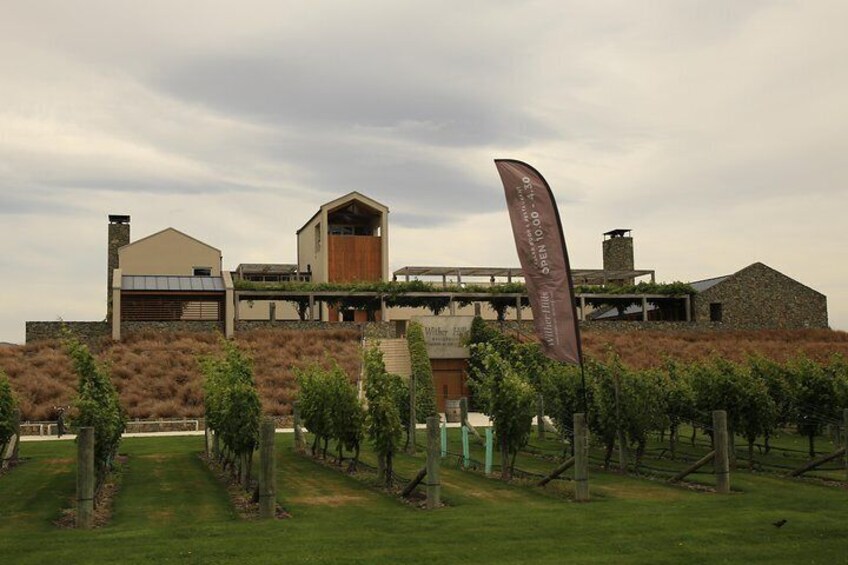 Cruise Ship Day - Marlborough