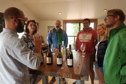 Cruise Excursion - Wines of Marlborough Tour