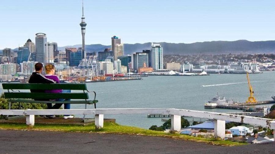 Auckland Shore Excursion: Small-Group Auckland City Tour