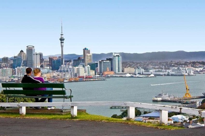  Auckland Shore Excursion: Small-Group Auckland City Tour