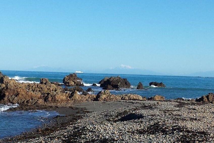 Wellington's rugged south coast