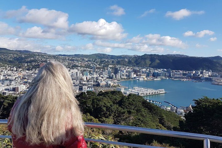 The view of Wellington City and harbour from Mt Victoria