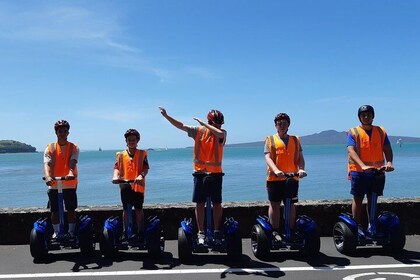 Auckland's Best of the Best Combo (Segway and Minibus Tour)