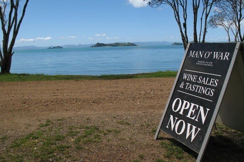 Waiheke Island Wine Escape Tour