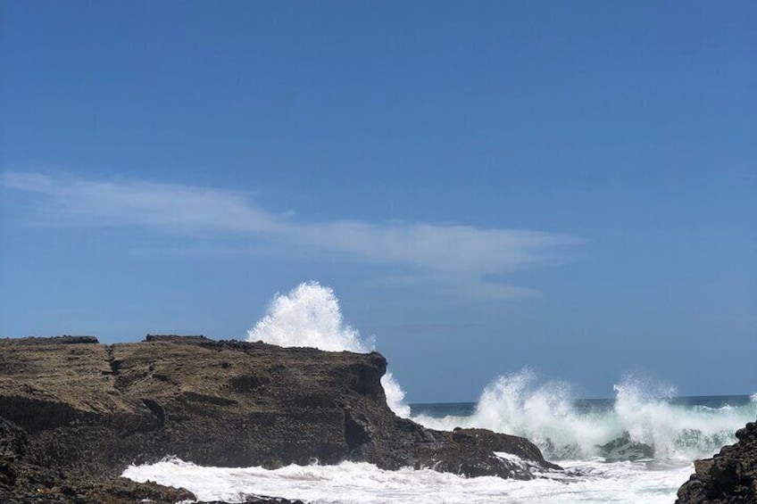 Piha Beach / Rainforest 