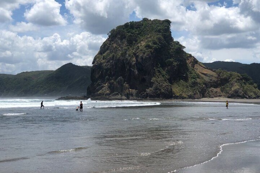 Piha Beach / Rainforest