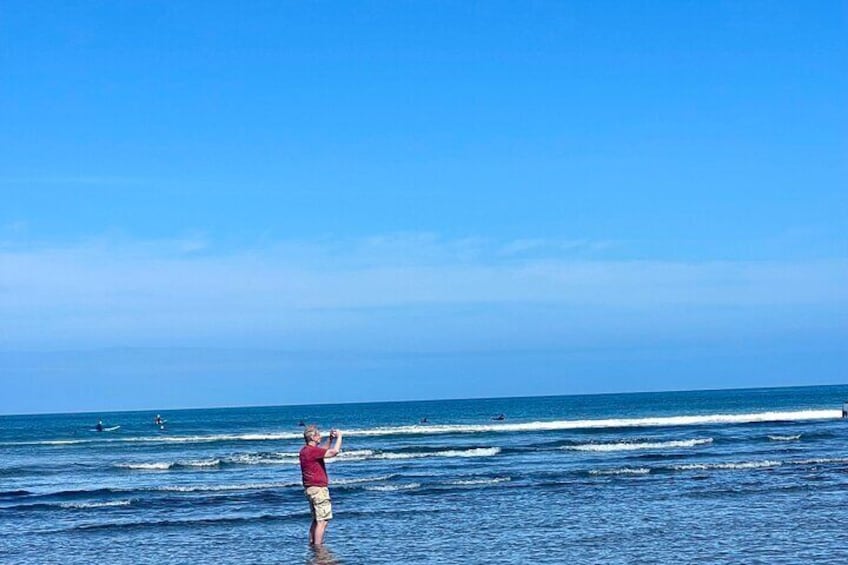 Piha Beach 