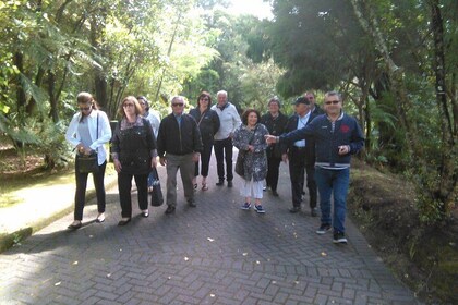 Shore Excursion: Group Rotorua Cultural and Geothermal Experience from Taur...