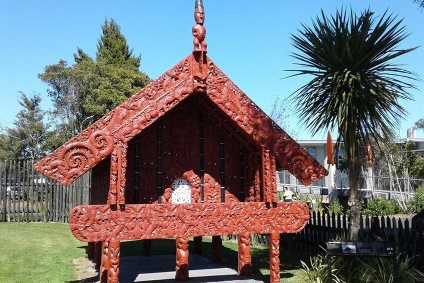 Exclusive Rotorua Cultural and Geothermal Experience from Tauranga