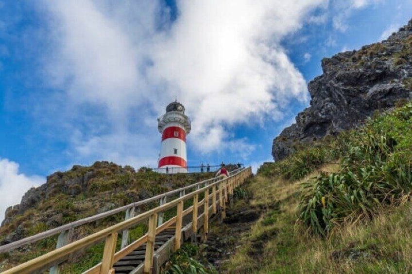 Cape Palliser on the rugged south coast 