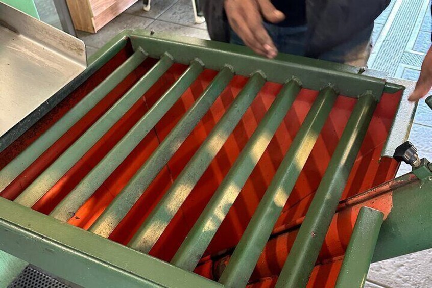 Watch olive oil production
