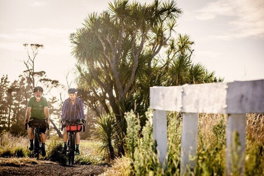 Remutaka Rail Trail Explorer - eBike Cruise Ship Shore Excursion