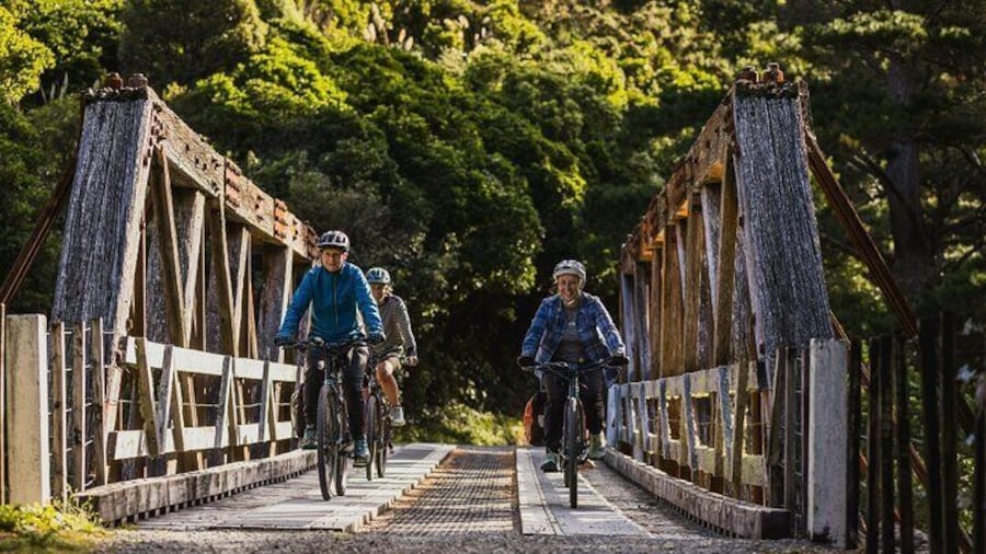 Remutaka Rail Trail- Wellington eBike Cruise Ship Shore Excursion