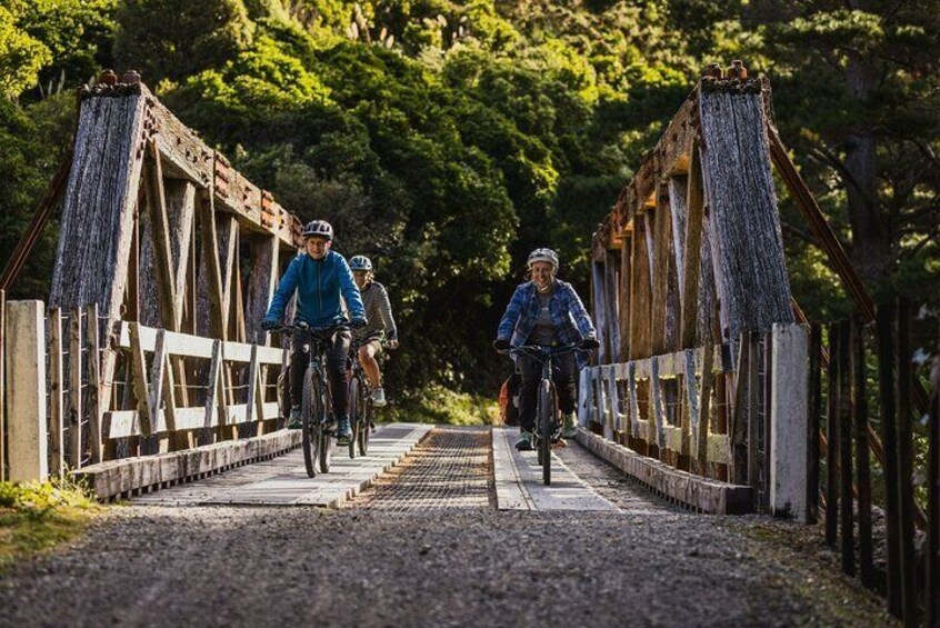 Remutaka Rail Trail Explorer - eBike Cruise Ship Shore Excursion