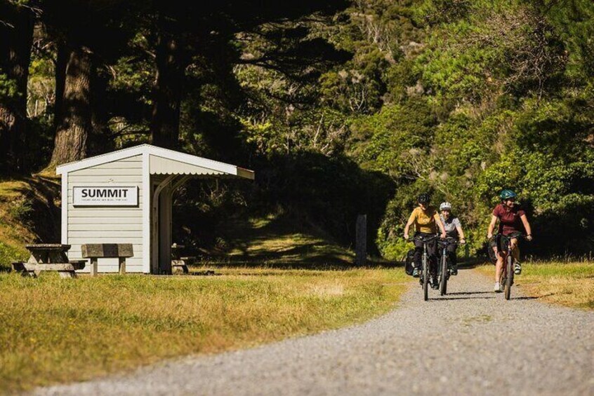 Remutaka Rail Trail Explorer - eBike Cruise Ship Shore Excursion