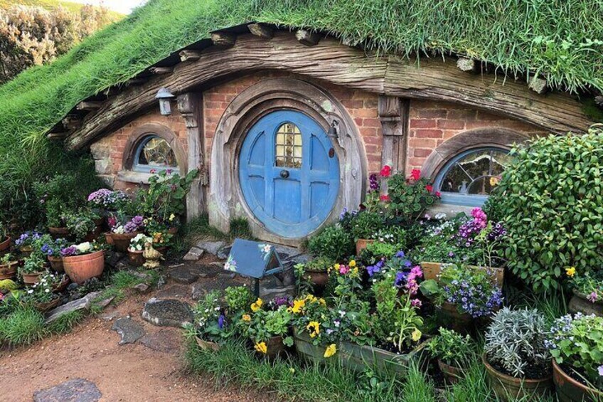 Hobbiton Movie Set Day Tour