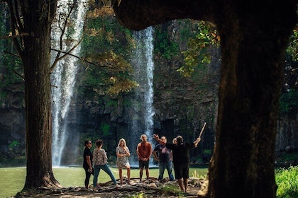 Your Kiwi Cultural Connection with Tu Tika Tours