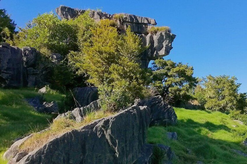 Kawiti Cave Area 