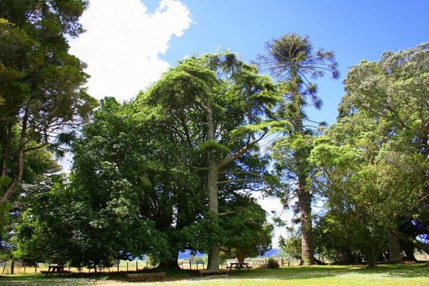 Te Waimate Mission