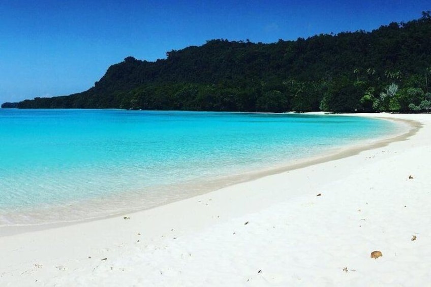 Show item 3 of 6. Champagne Beach Santo
