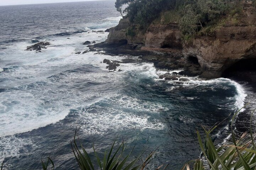 Shark bay at Port resolution 