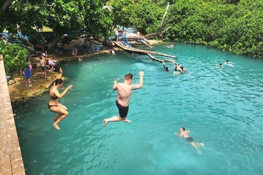 Discover Cascades and Cultural Experience with Yumi Tours