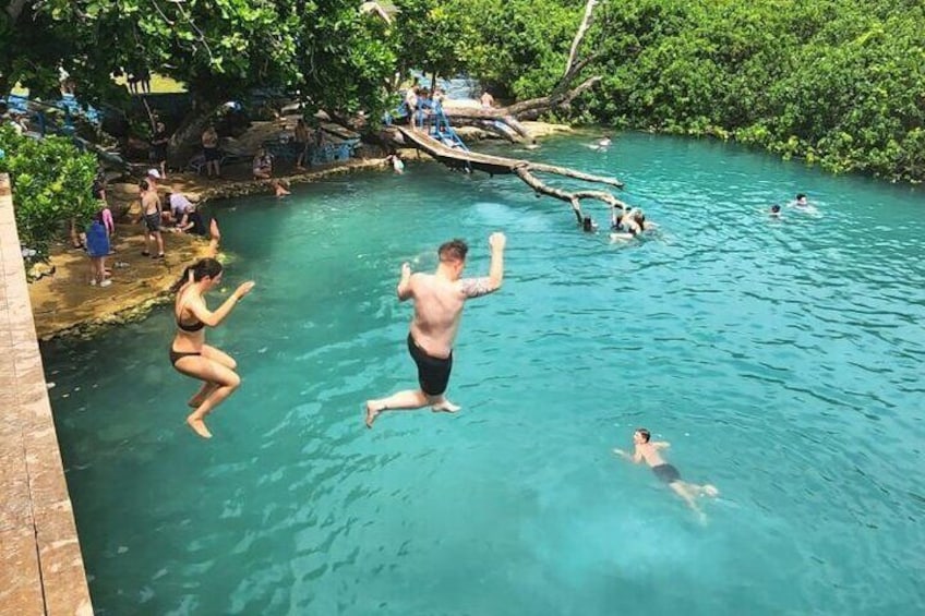 Blue Lagoon & Eden on the River - Half Day Trip with Yumi Tours