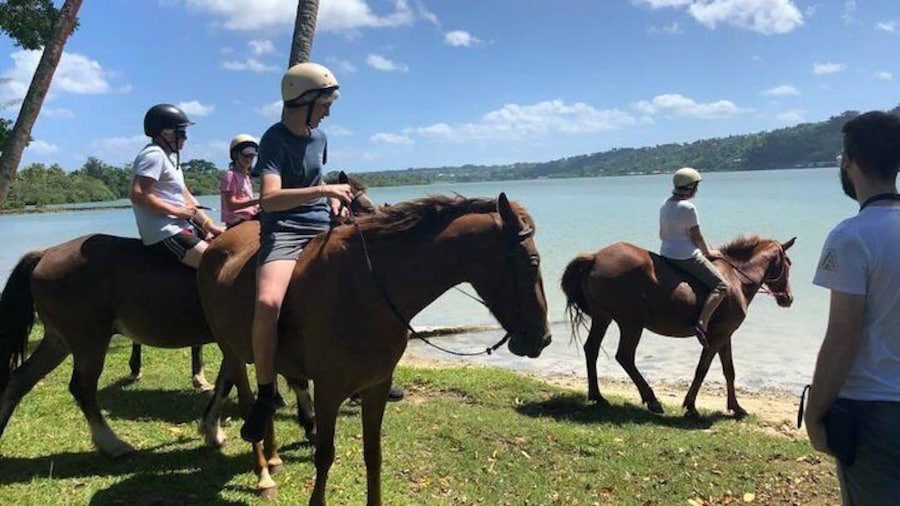 Horse Riding Adventure at Club Hippique