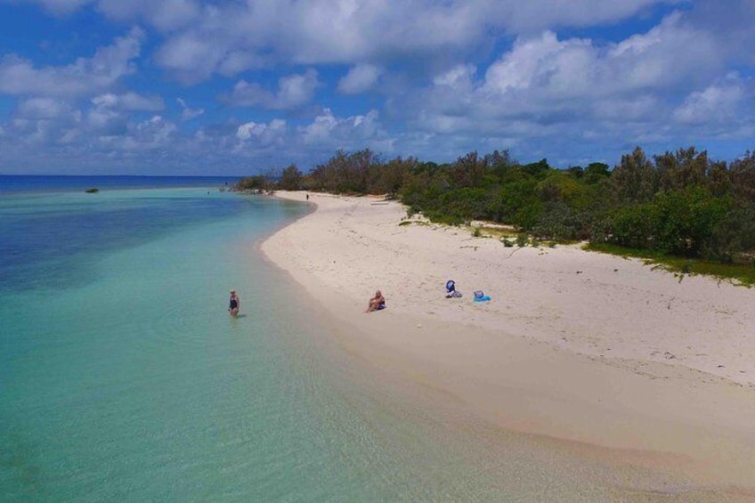 Signal Island Turtle Tour from Noumea