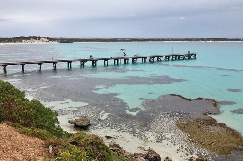 Kangaroo Island Shore Excursion Scenic Trail Tour