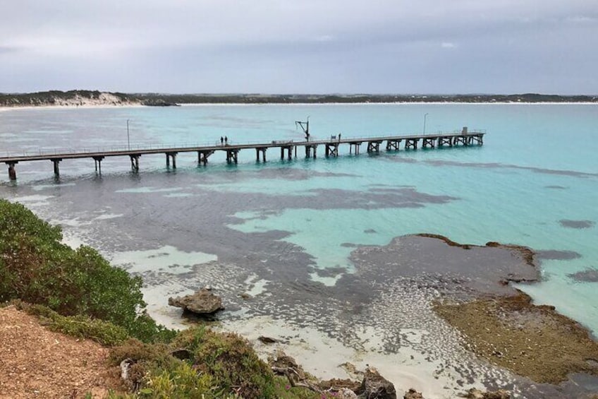 Kangaroo Island Shore Excursion Scenic Trail Tour