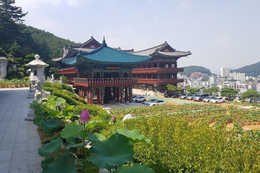 Busan Shore Excursion Tour with Gamcheon Culture Village