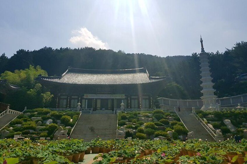 Busan Shore Excursion Tour with Gamcheon Culture Village