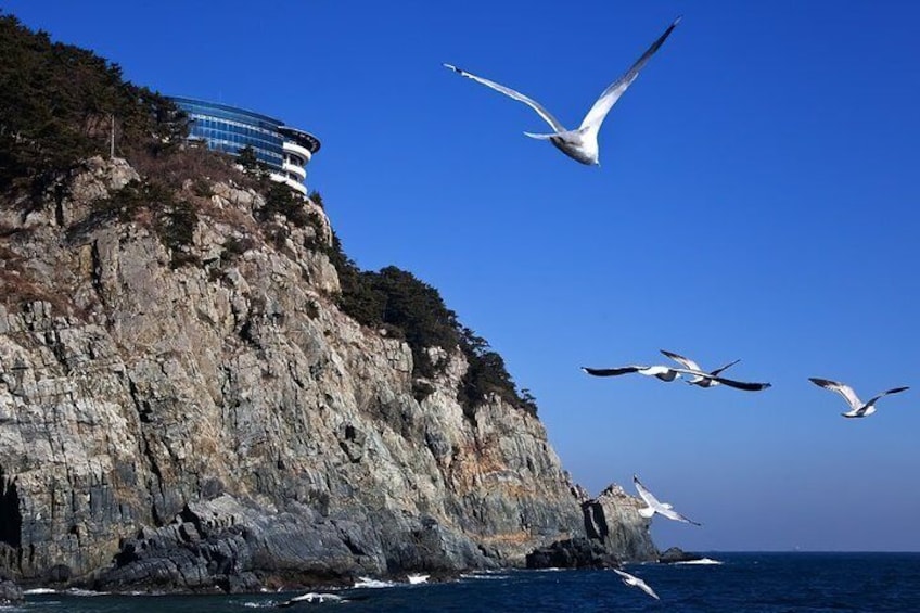 Cruise Layover : Small Group Busan Highlight Day Tour 