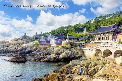 Cruise Stopover : Small Group Busan Highlight Day Tour