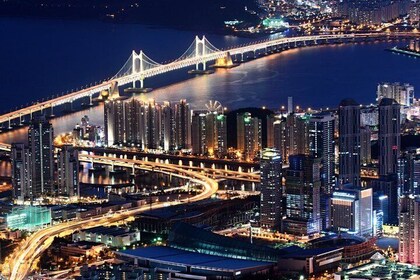 Cruise Stopover Busan Highlight Tour with Sea temple and Gamcheon