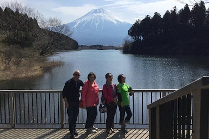 Private tour to Lake Tanuki, Shiraito Falls... for cruise ship passengers 