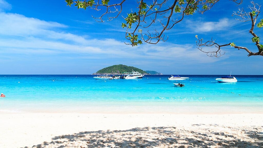 Similan Islands One Day Tour From Phuket